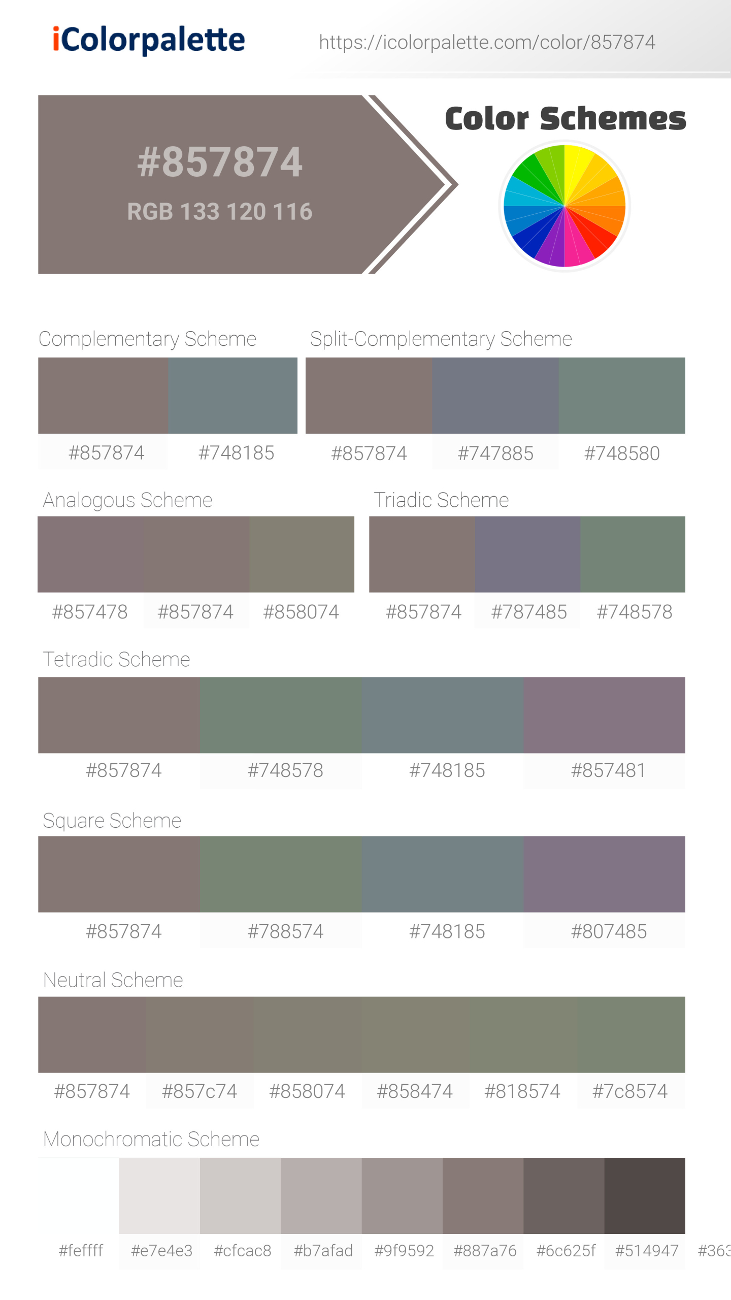 Pantone 409 C Color | Hex color Code #857874 information