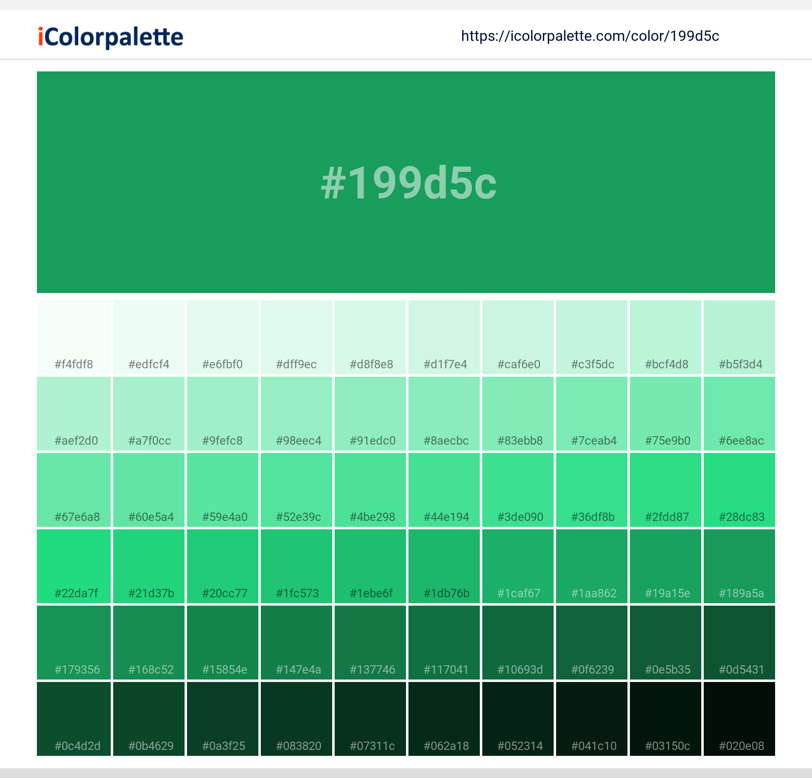 Pantone 166138 Tpx Kelly Green Color Hex color Code 199D5C