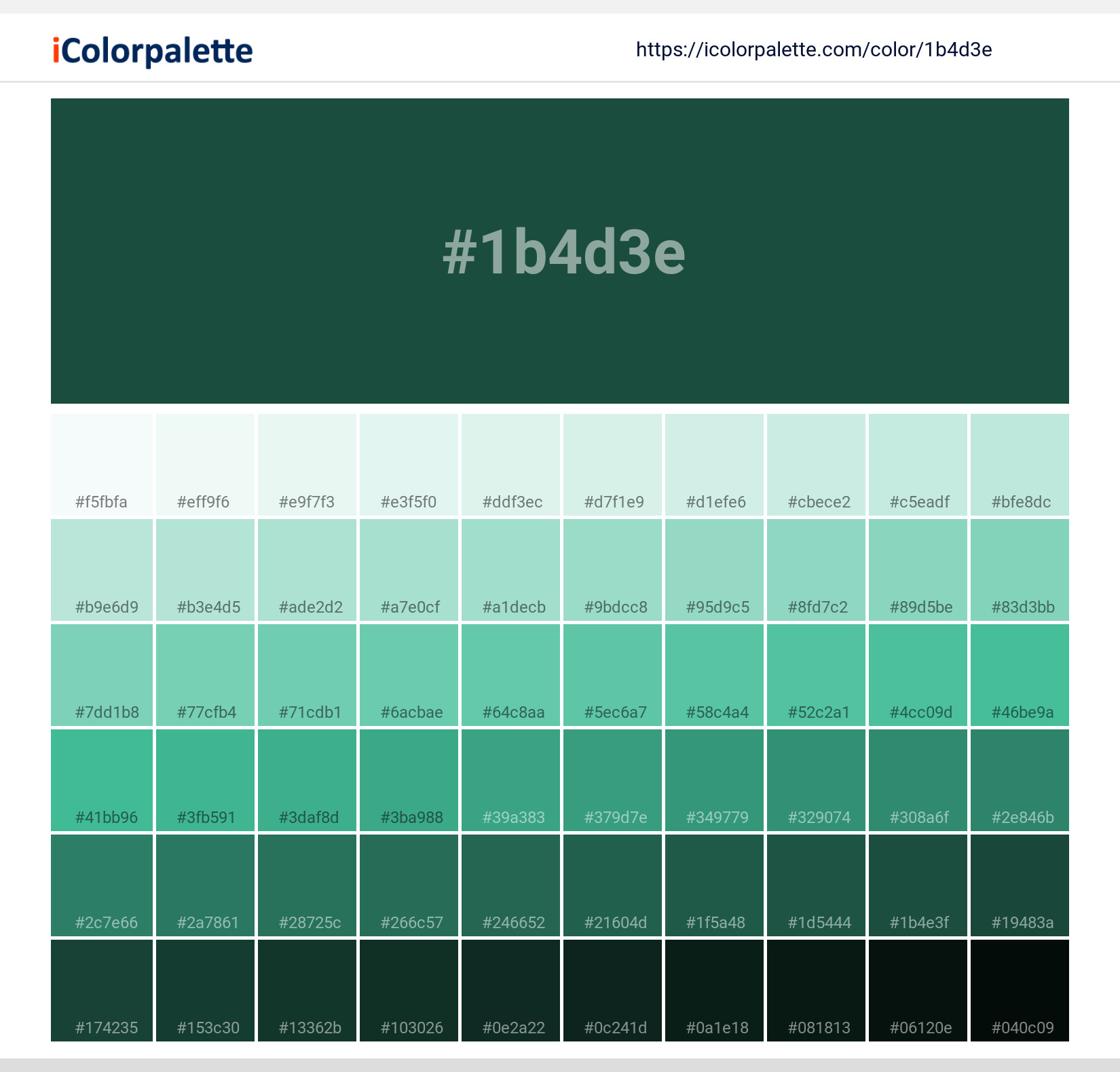Brunswick Green Color | 1b4d3e information | Hsl | Rgb | Pantone