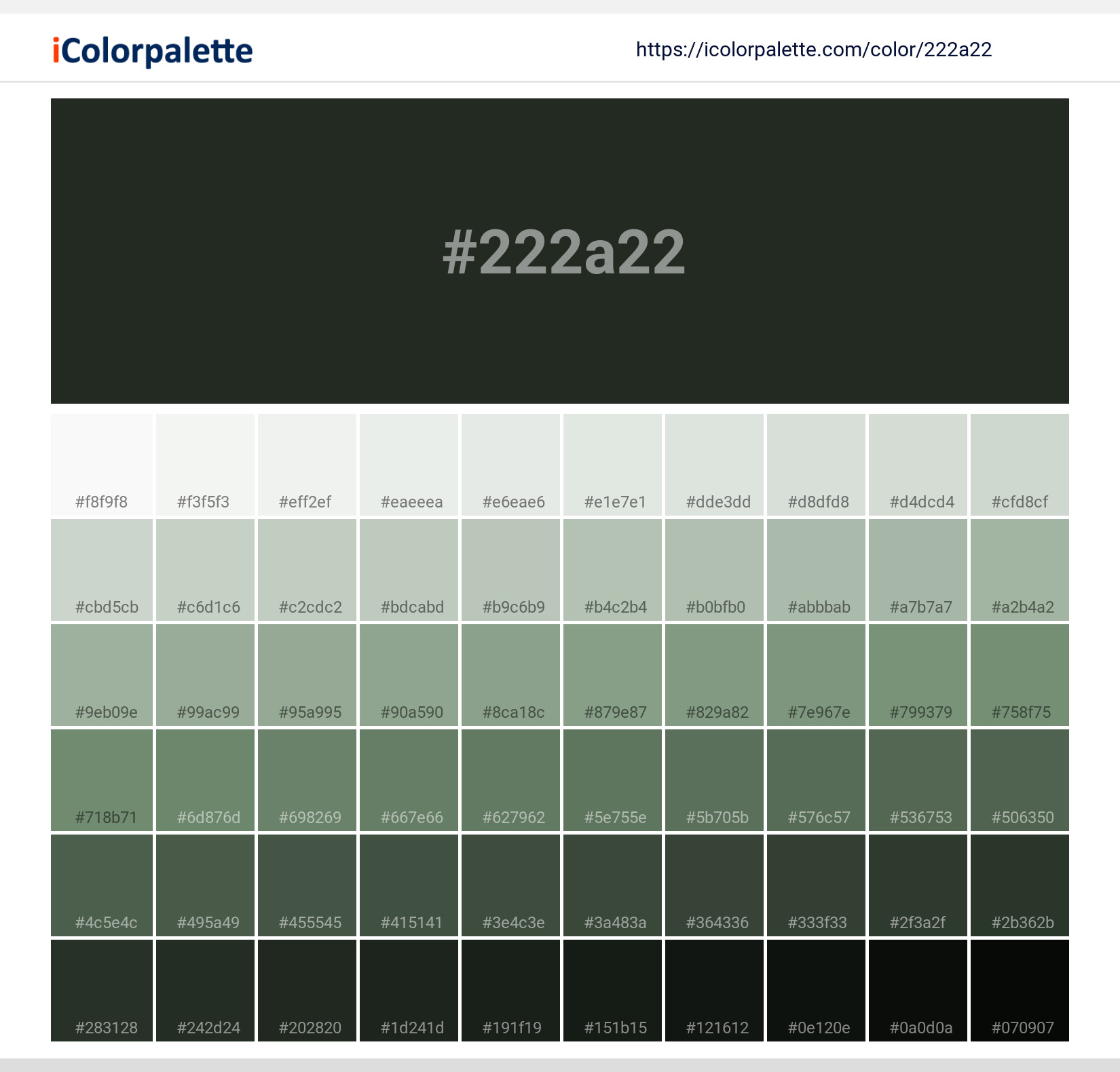 Melanite Black Green ( similar ) Color, 222a22 information