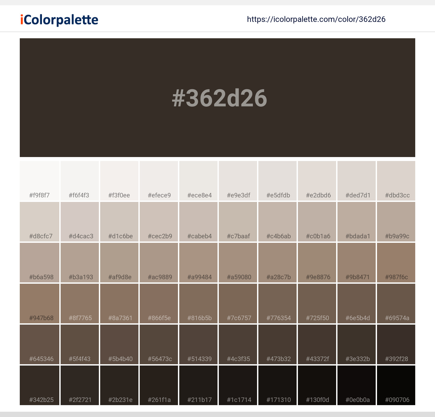 Coffee Bean information Hsl Rgb Pantone