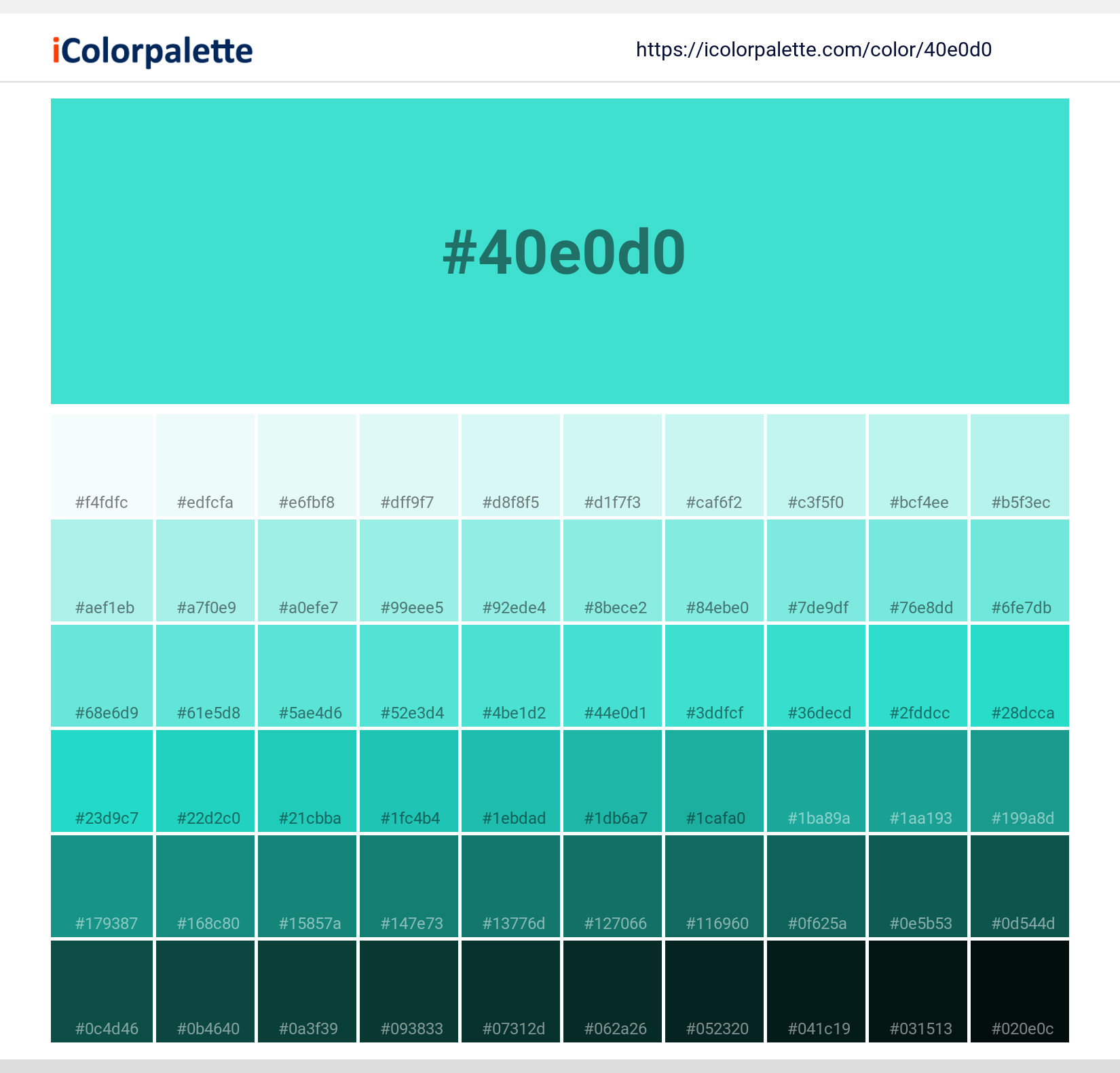 Turquoise Color - HEX #40E0D0 Meaning and Live Previews - PaletteMaker