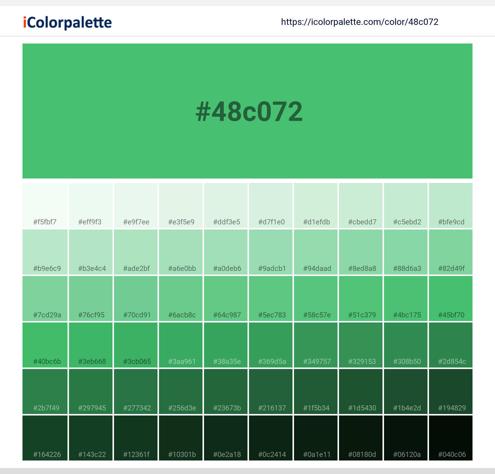 Hex Color Code 48c072 Dark Mint Color Information Hsl Rgb Pantone Hex Color Code 48c072 Dark Mint Color Information Hsl Rgb Pantone