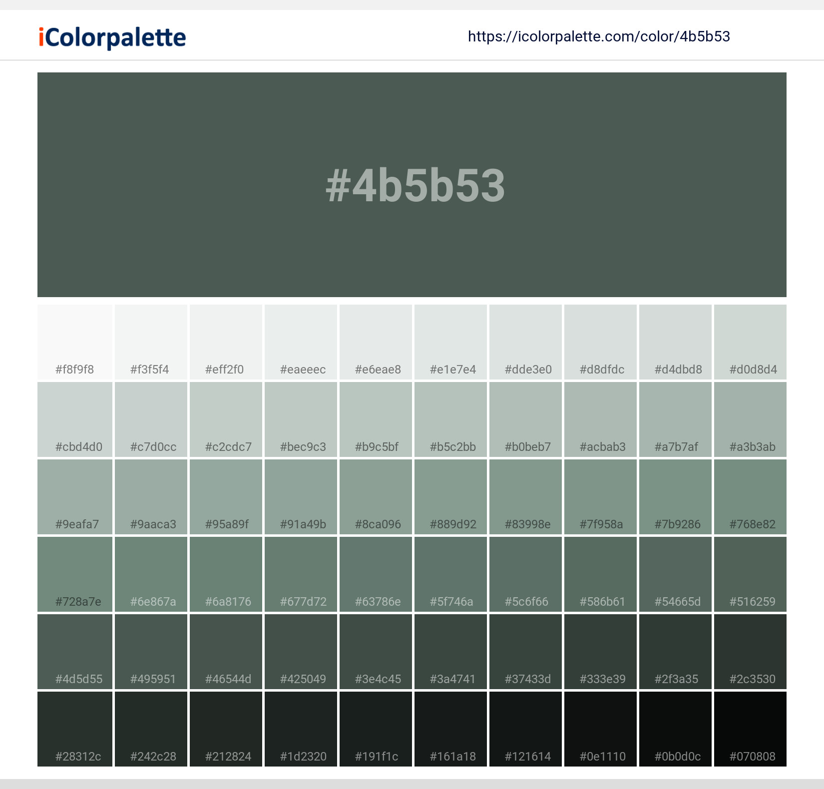 Pantone 195621 Tpx Cilantro Color Hex color Code 4B5B53 information