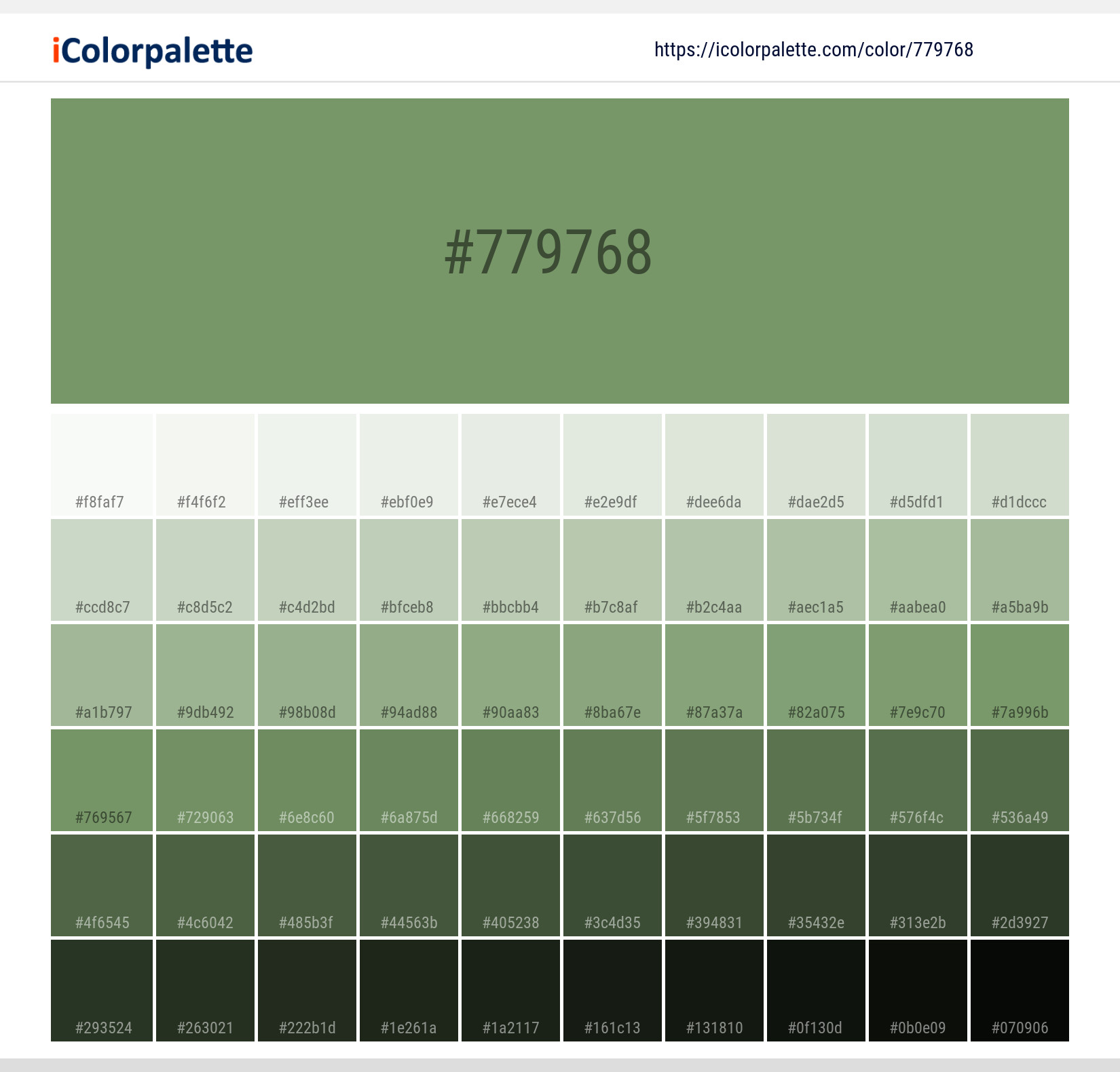 Pantone 16-0228 Tpg Jade Green Color, Hex color Code #779768 information, Hsl, Rgb