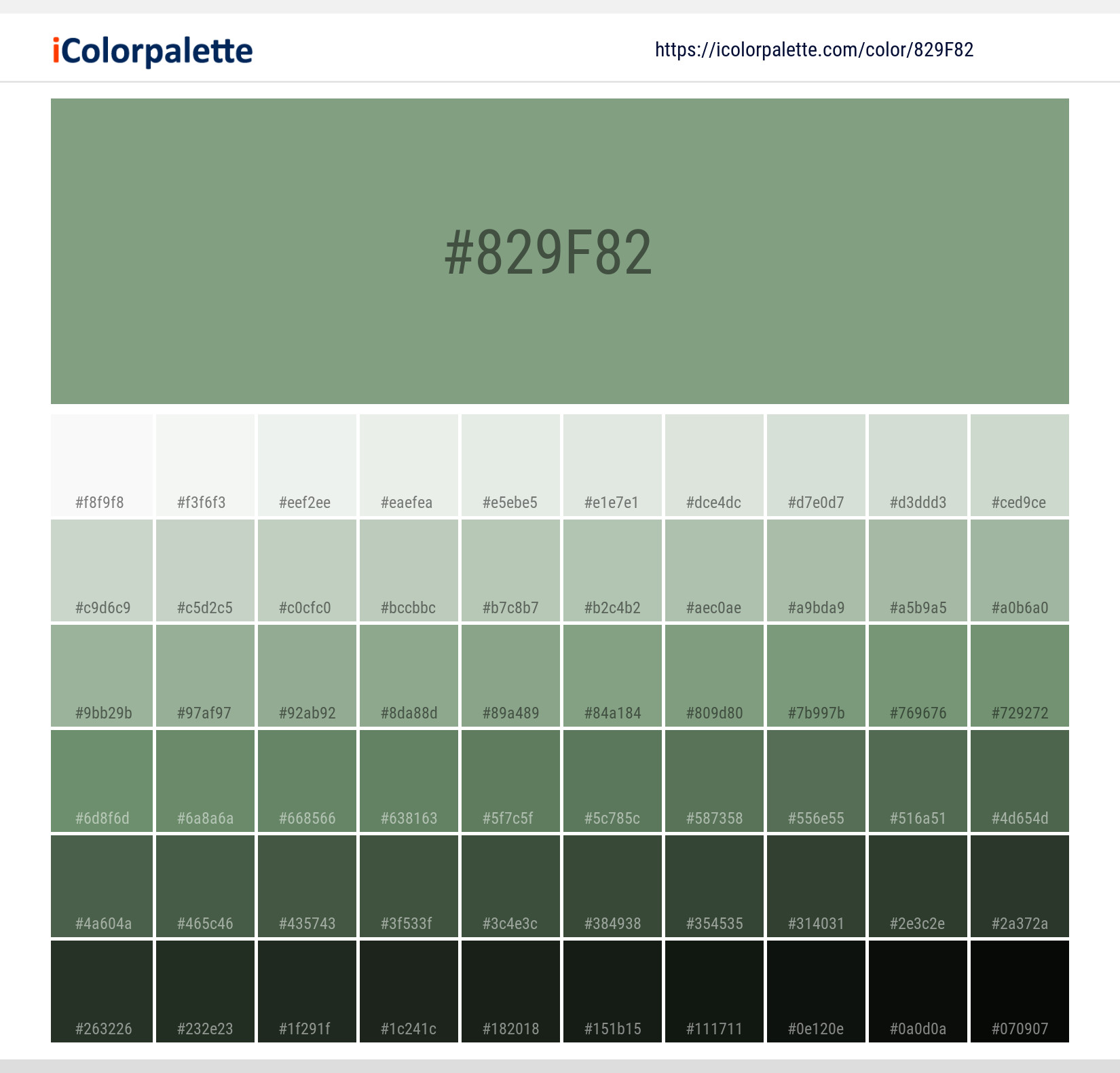 Pantone 166216 Tpx Basil Color Hex color Code 829f82 information