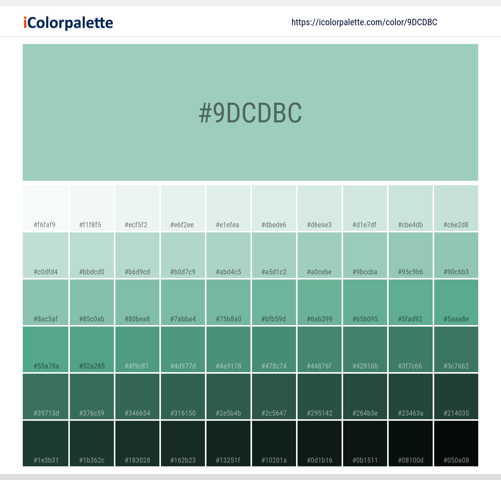 Pantone 571 Up Color | Hex color Code #9DCDBC information | Hsl | Rgb ...