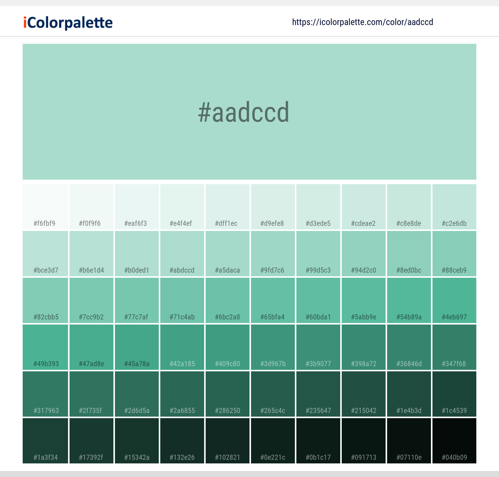Prism information Hsl Rgb Pantone