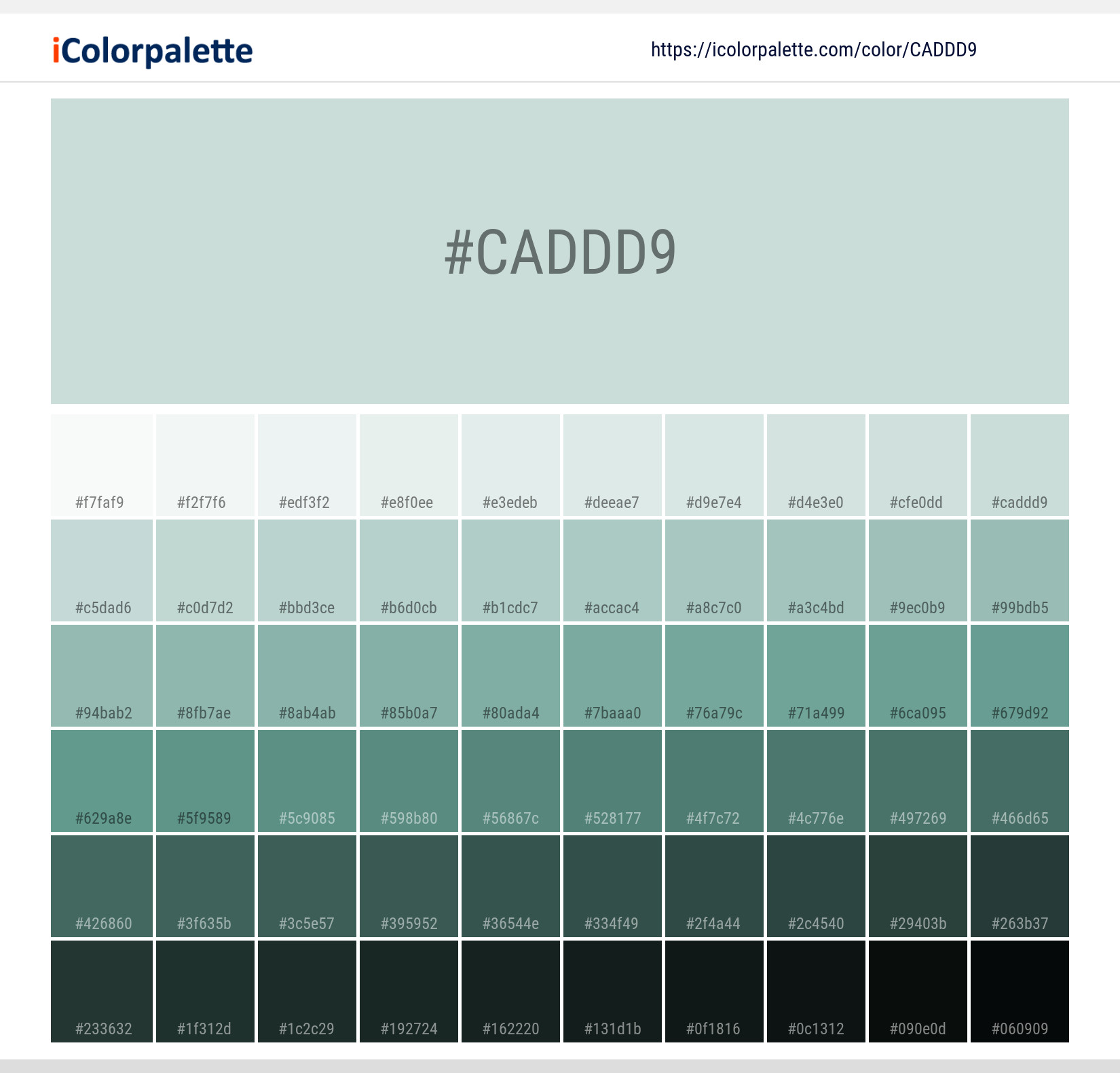 Hex Color Code Caddd9 Pantone 12 54 Tpg Morning Mist Color Information Hsl Rgb Pantone Hex Color Code Caddd9 Pantone 12 54 Tpg Morning Mist Color Information Hsl Rgb Pantone