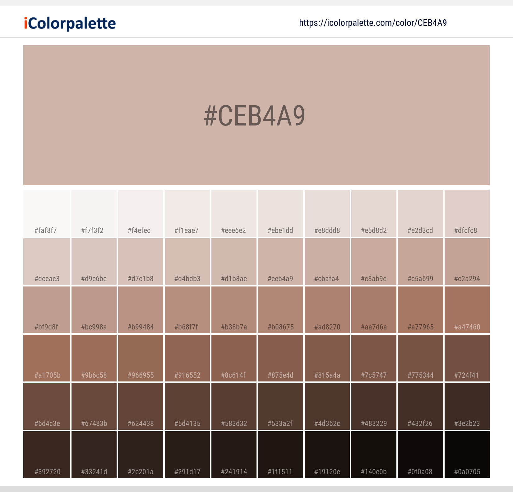 Pantone 4745 U Color, Hex color Code #CEB4A9 information, Hsl, Rgb