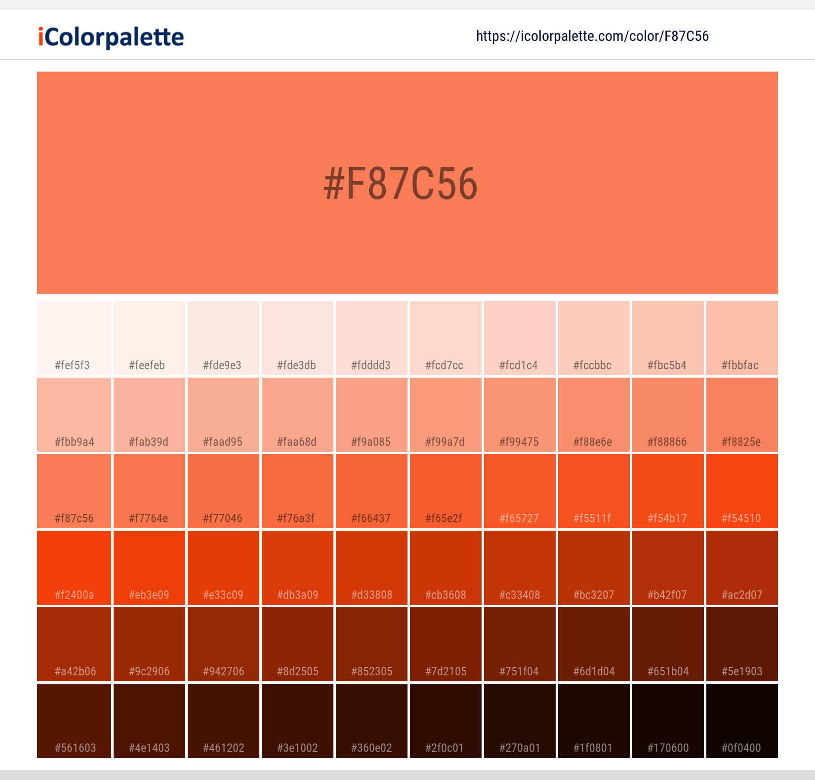 Pantone 2024 C Color Hex color Code F87C56 information Hsl Rgb
