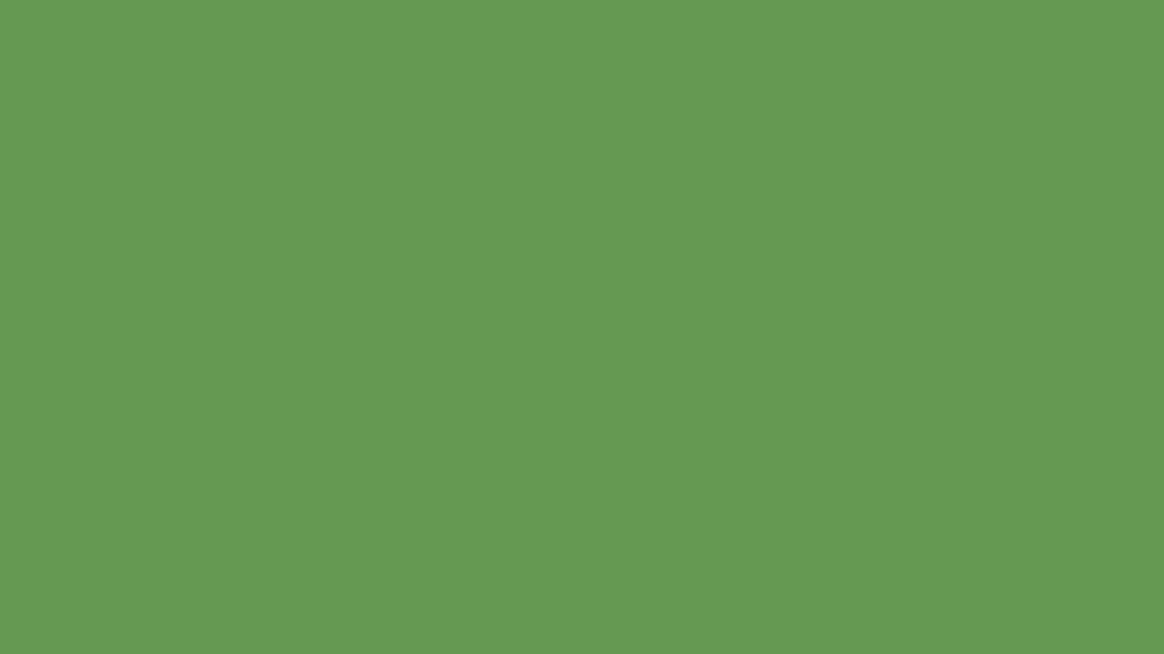 Muted Green (similar) Color 659952 information Hsl Rgb Pantone