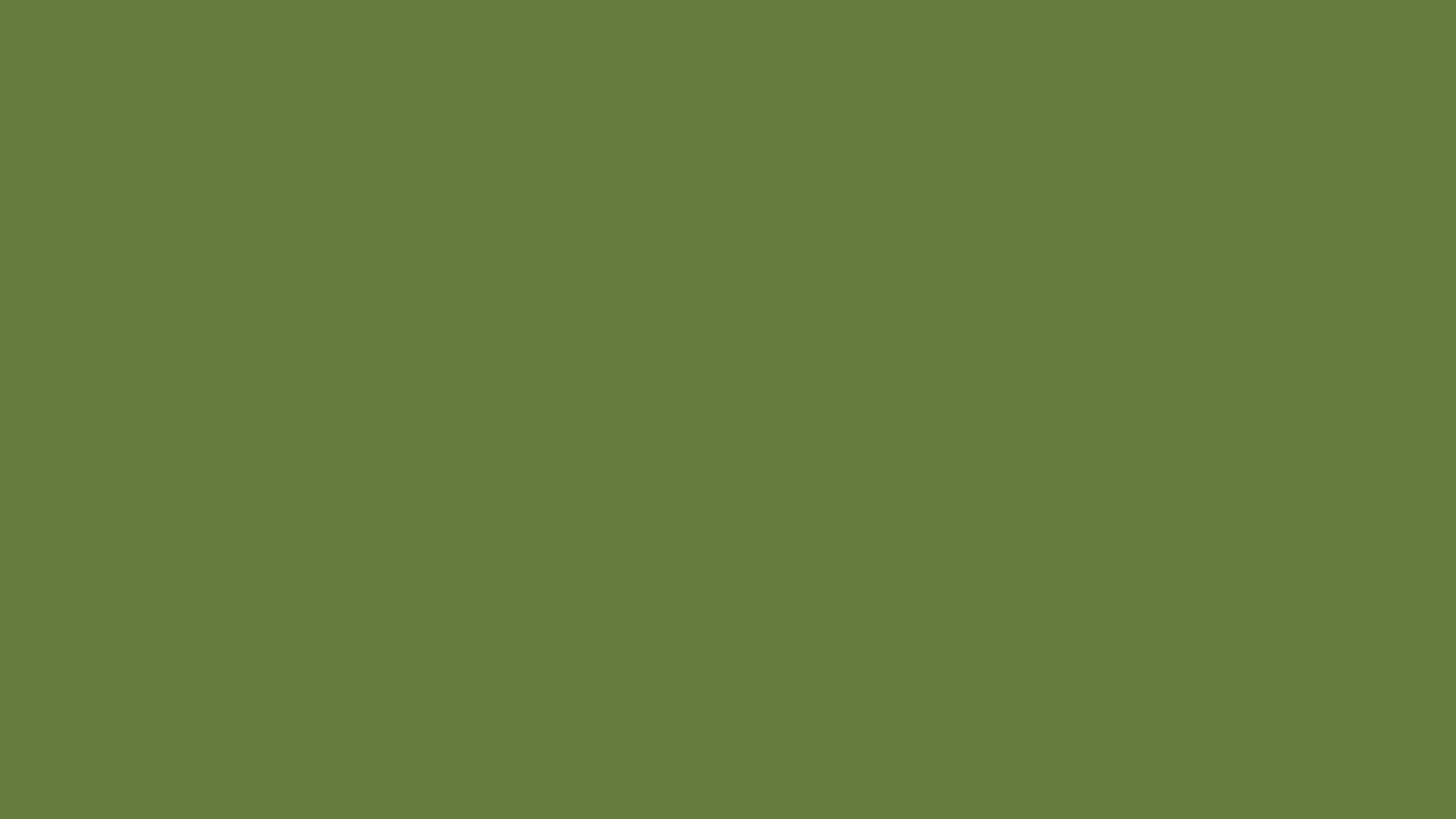 Military Green information | Hsl | Rgb | Pantone