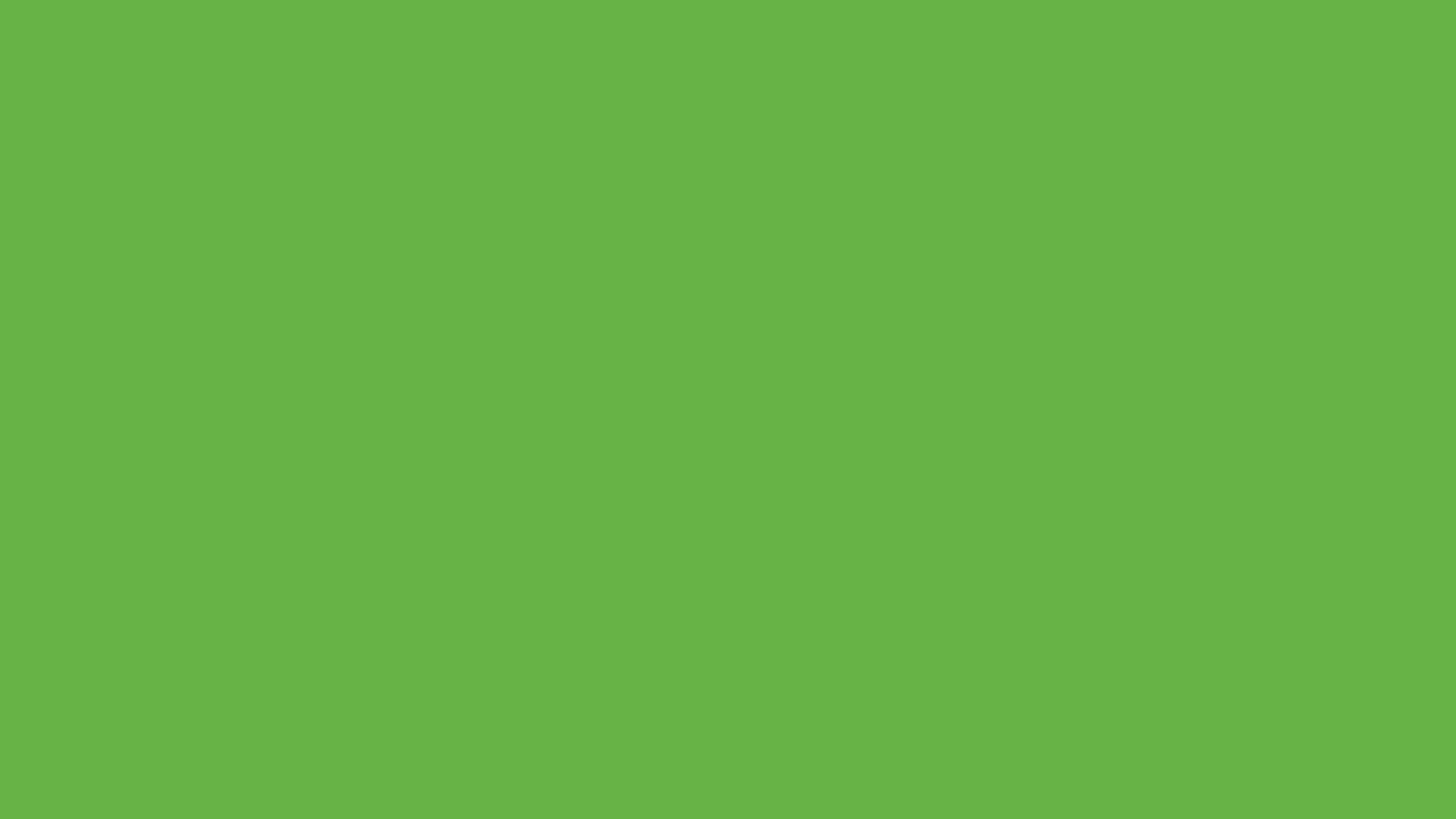 Holzgliedermaßstab Zollstock / Grün ca Pantone 368 Hellgrün 