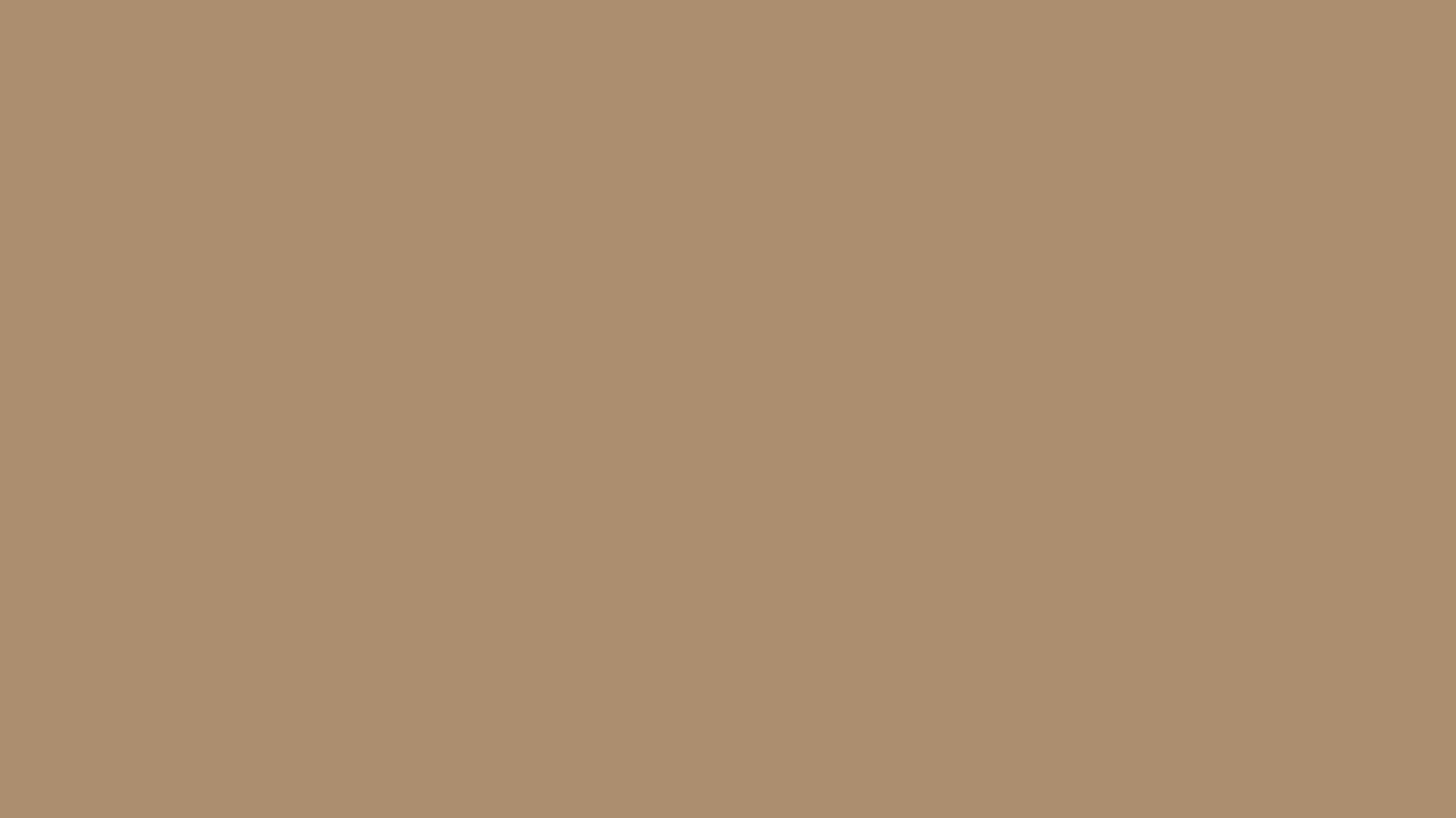 Roasted Coconut (similar) Color | ac8e6f information | Hsl | Rgb | Pantone