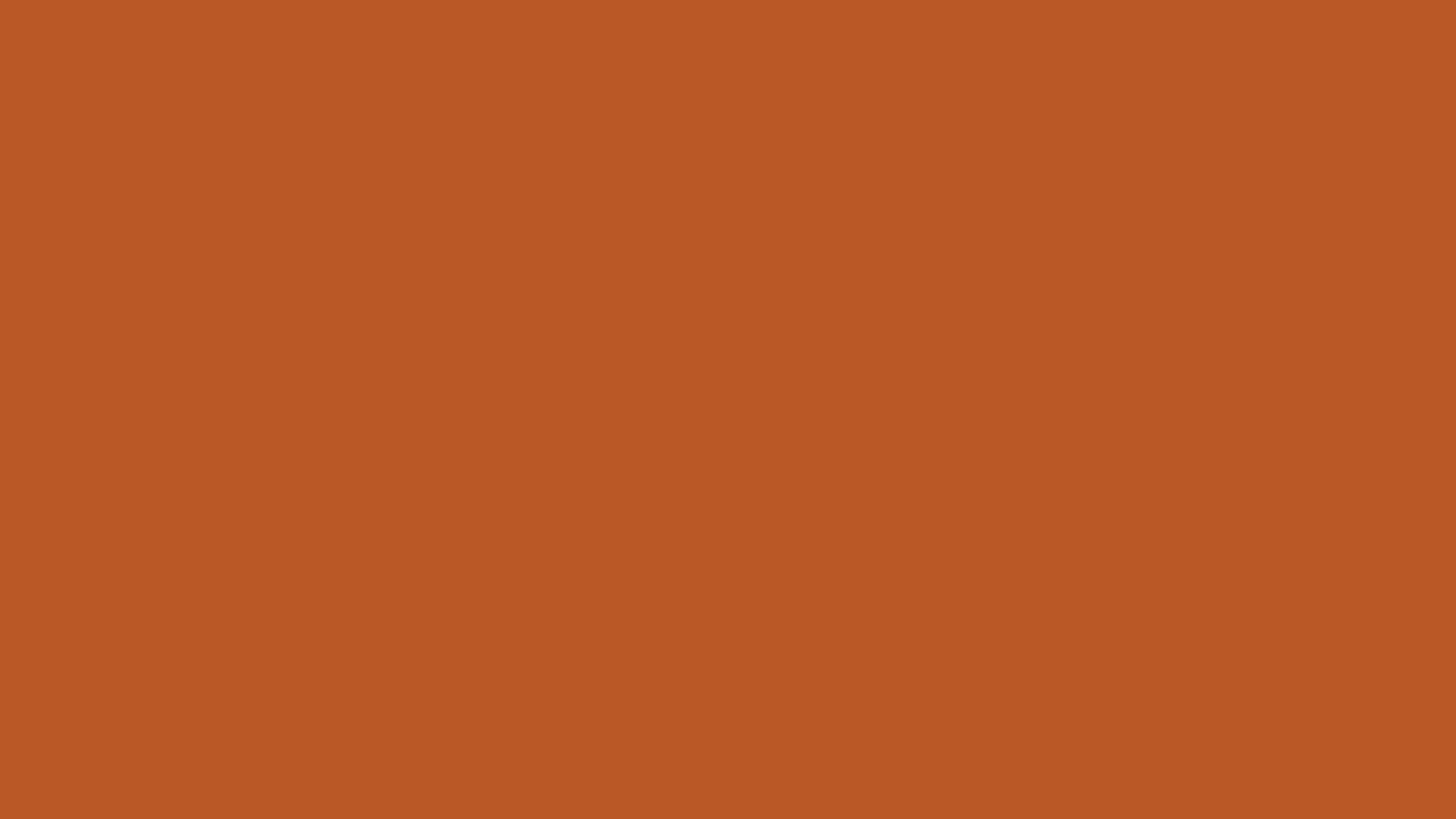 Pantone 7584 C Color | Hex color Code #BA5826 information