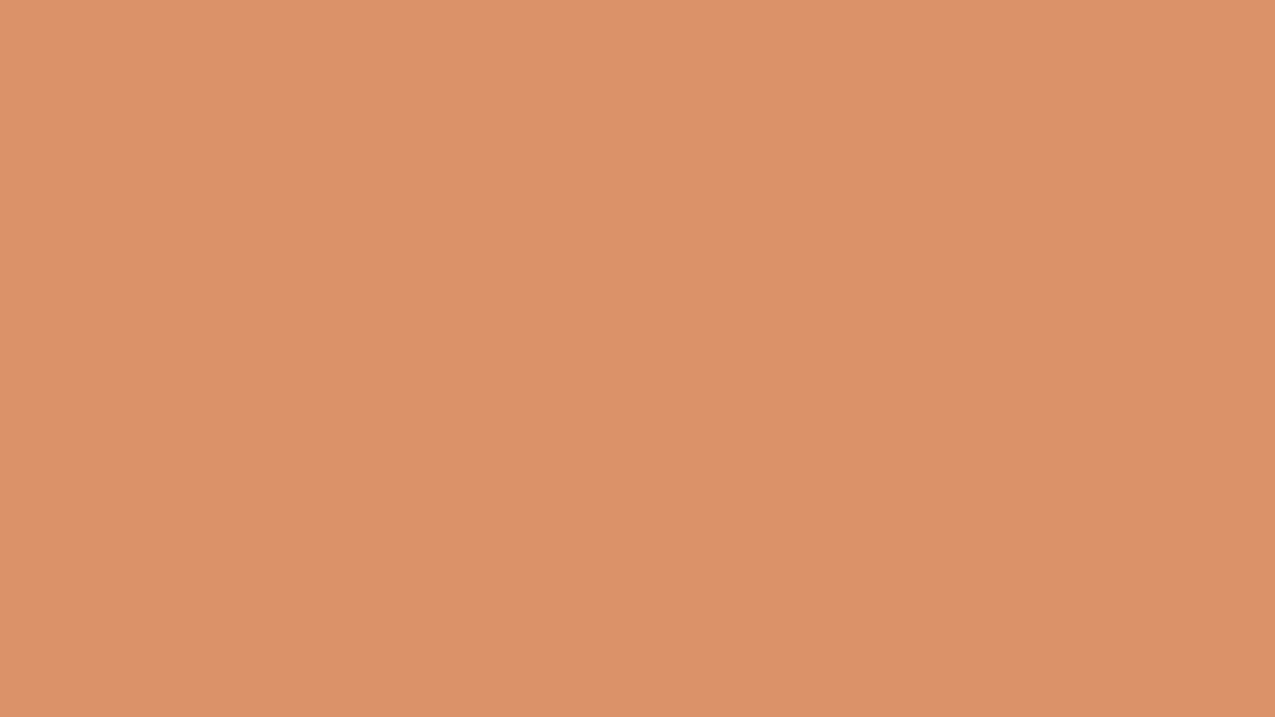 Copper Pipe ( similar ) Color | db9269 information | Hsl | Rgb | Pantone
