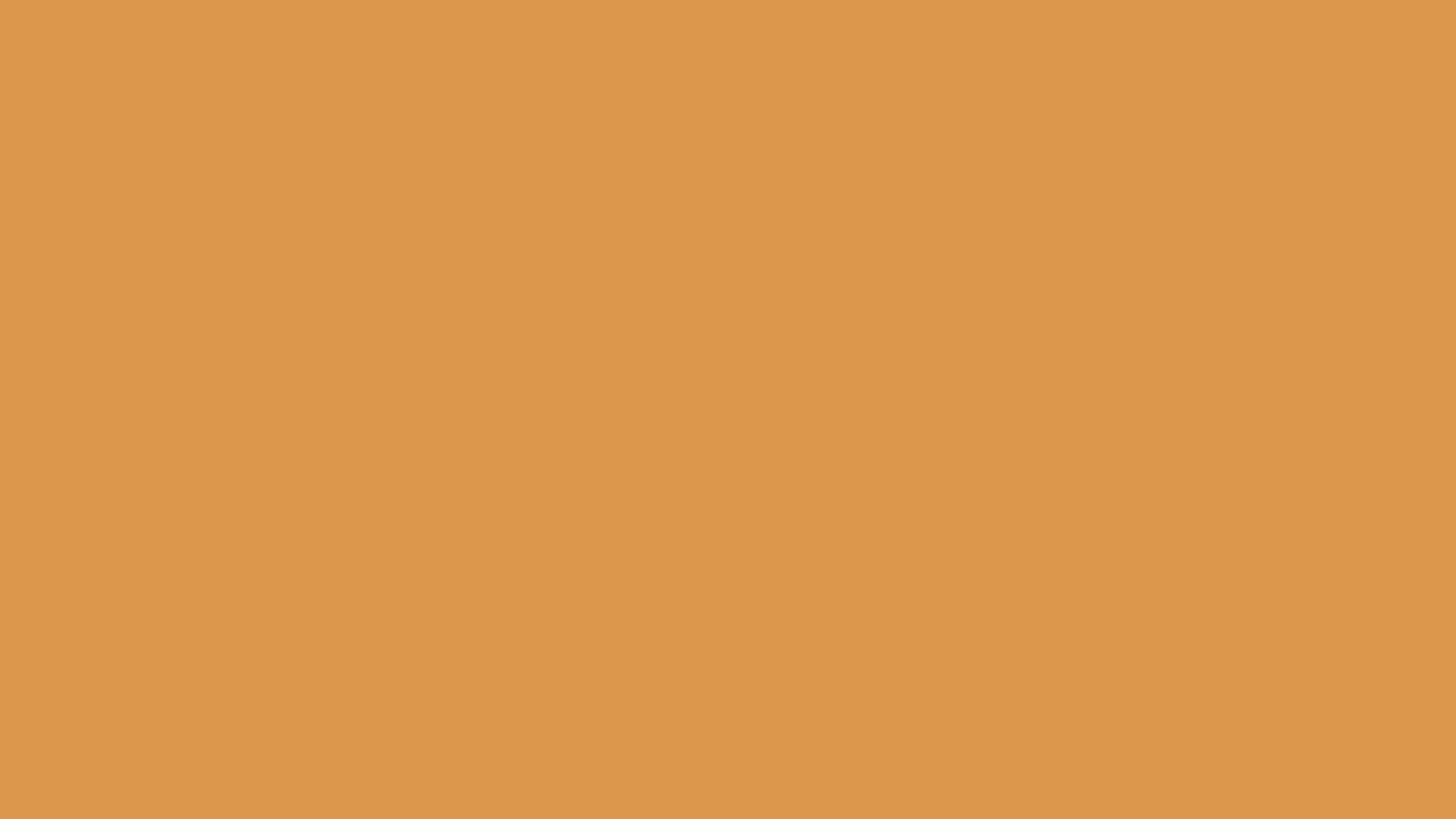 Hex Color #dd964b information | Hsl | Rgb | Pantone